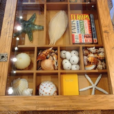display coffee table plans
